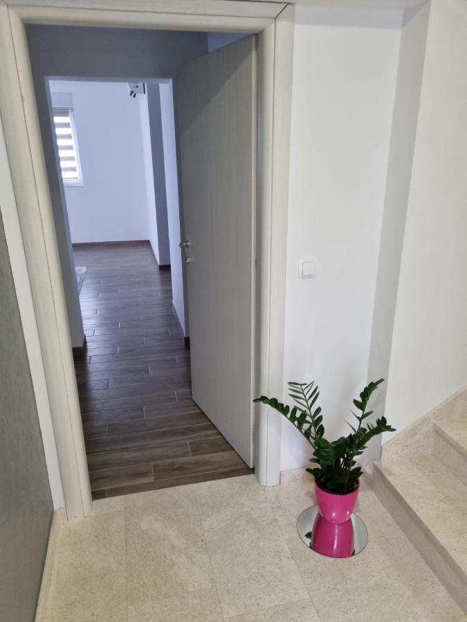Apartmani Tolj マカルスカ エクステリア 写真