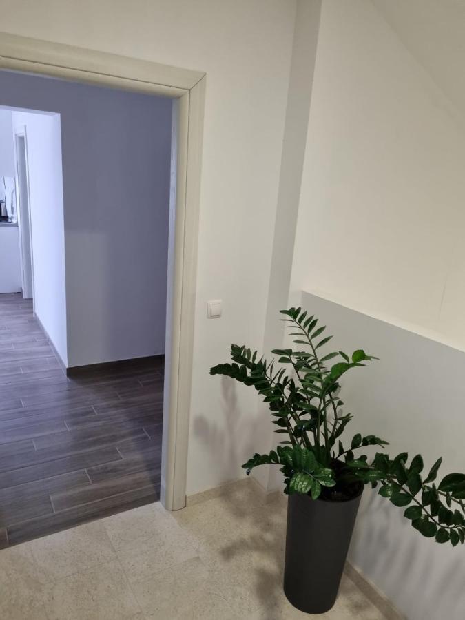 Apartmani Tolj マカルスカ エクステリア 写真